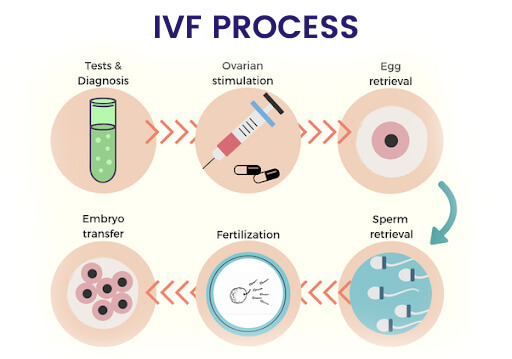 Best IVF Treatment Clinic in Chandigarh